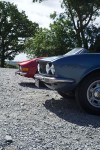 Titsey Breakfast meet June 2026